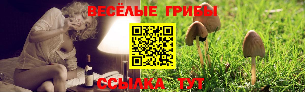 Галлюциногенные грибы прущие грибы  Псилоцибиновые грибы Cubensis  Елабуга  Вход с VPN 