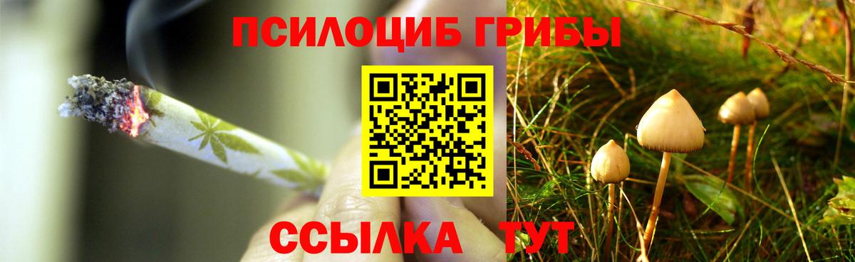 Галлюциногенные грибы ЛСД Елабуга